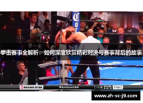 拳击赛事全解析：如何深度欣赏精彩对决与赛事背后的故事
